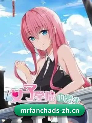 平台愿景 - 长期内容价值积累
